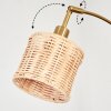 Cavaca Staande lamp Messing, Zwart, 3-lichts