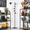 Koyoto Staande lamp 31 cm Duidelijk, 5-lichts