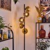 Koyoto Staande lamp 31 cm Goud, Duidelijk, 5-lichts