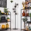 Koyoto Staande lamp 31 cm Chroom, Rookkleurig, 5-lichts