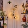 Ripoll Staande lamp Amber, Duidelijk, Rookkleurig, 5-lichts