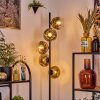 Ripoll Staande lamp Goud, Duidelijk, 5-lichts