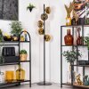 Ripoll Staande lamp Goud, Duidelijk, 5-lichts
