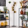 Koyoto Staande lamp 31 cm Goud, Duidelijk, 5-lichts