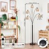Bongal Staande lamp Zwart, 5-lichts