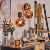 Ripoll Kogellampje, Wandlamp Goud, Zwart, 3-lichts
