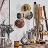 Ripoll Kogellampje, Wandlamp Goud, Zwart, 3-lichts