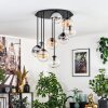 Gastor Plafondlamp, Kogellampje 57 cm Amber, Duidelijk, Rookkleurig, 9-lichts