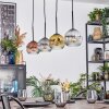 Ripoll Hanglamp, Kogellampje, Hanglamp Goud, Duidelijk, Koperkleurig, Rookkleurig, 4-lichts