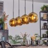Ripoll Hanglamp, Kogellampje, Hanglamp Goud, 4-lichts
