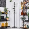 Ripoll Staande lamp Duidelijk, 5-lichts