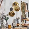 Ripoll Kogellampje, Wandlamp Goud, Zwart, 3-lichts