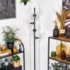Ripoll Staande lamp Duidelijk, 4-lichts
