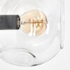 Ripoll Staande lamp Duidelijk, 4-lichts