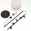Koyoto Staande lamp Amber, Duidelijk, 5-lichts