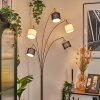 Bassagoda Staande lamp Nikkel mat, Zwart, 5-lichts