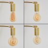 Codecreo Staande lamp Messing, Zwart, 5-lichts
