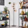 Koyoto Staande lamp Amber, Duidelijk, 4-lichts