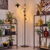 Koyoto Staande lamp Duidelijk, 4-lichts