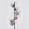 Ripoll Staande lamp Rookkleurig, 6-lichts