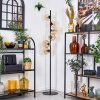 Ripoll Staande lamp Amber, Duidelijk, 6-lichts