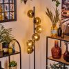 Ripoll Staande lamp Goud, Duidelijk, 6-lichts