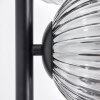 Koyoto Staande lamp Duidelijk, Rookkleurig, 6-lichts
