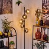 Ripoll Staande lamp Duidelijk, Rookkleurig, 5-lichts