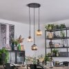 Ripoll Hanglamp, Kogellampje, Hanglamp Amber, Duidelijk, Rookkleurig, 3-lichts