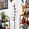 Ripoll Staande lamp Duidelijk, 6-lichts