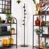 Ripoll Staande lamp Duidelijk, 6-lichts