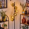 Ripoll Staande lamp Goud, Duidelijk, 6-lichts