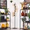 Ripoll Staande lamp Amber, Duidelijk, 6-lichts