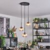 Koyoto Hanglamp, Kogellampje, Cluster hanglamp 30 cm Amber, Duidelijk, 3-lichts