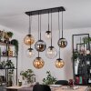 Gastor Hanglamp, Kogellampje, Hanglamp Amber, Duidelijk, Rookkleurig, 8-lichts Gastor Hanglamp, Kogellampje, Hanglamp Amber, Duidelijk, Rookkleurig, 8-lichts
