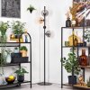 Gastor Staande lamp 34 cm Amber, Duidelijk, Rookkleurig, 4-lichts