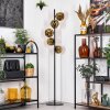 Ripoll Staande lamp Goud, 5-lichts