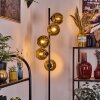 Koyoto Staande lamp 31 cm Goud, 5-lichts