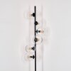 Koyoto Staande lamp 31 cm Duidelijk, 6-lichts
