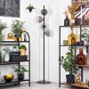 Ripoll Staande lamp Duidelijk, Rookkleurig, 4-lichts