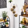 Ripoll Staande lamp Goud, 4-lichts