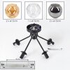 Ripoll Plafondlamp, Kogellampje Amber, Duidelijk, Rookkleurig, 5-lichts
