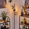 Koyoto Staande lamp 31 cm Chroom, Duidelijk, Rookkleurig, 3-lichts
