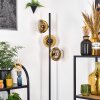 Koyoto Staande lamp 31 cm Goud, Duidelijk, 3-lichts