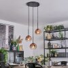 Ripoll Hanglamp, Kogellampje, Cluster hanglamp Duidelijk, Koperkleurig, 3-lichts