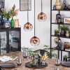 Ripoll Hanglamp, Kogellampje, Cluster hanglamp Duidelijk, Koperkleurig, 3-lichts