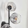 Ripoll Kogellampje, Wandlamp Duidelijk, Rookkleurig, 3-lichts