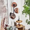 Ripoll Kogellampje, Wandlamp Duidelijk, Koperkleurig, 3-lichts Ripoll Kogellampje, Wandlamp Duidelijk, Koperkleurig, 3-lichts