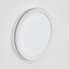 Qadir Wandlamp voor buiten, Wandlamp LED Wit, 1-licht
