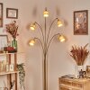 Lindberg Staande lamp Messing, Zwart, 5-lichts